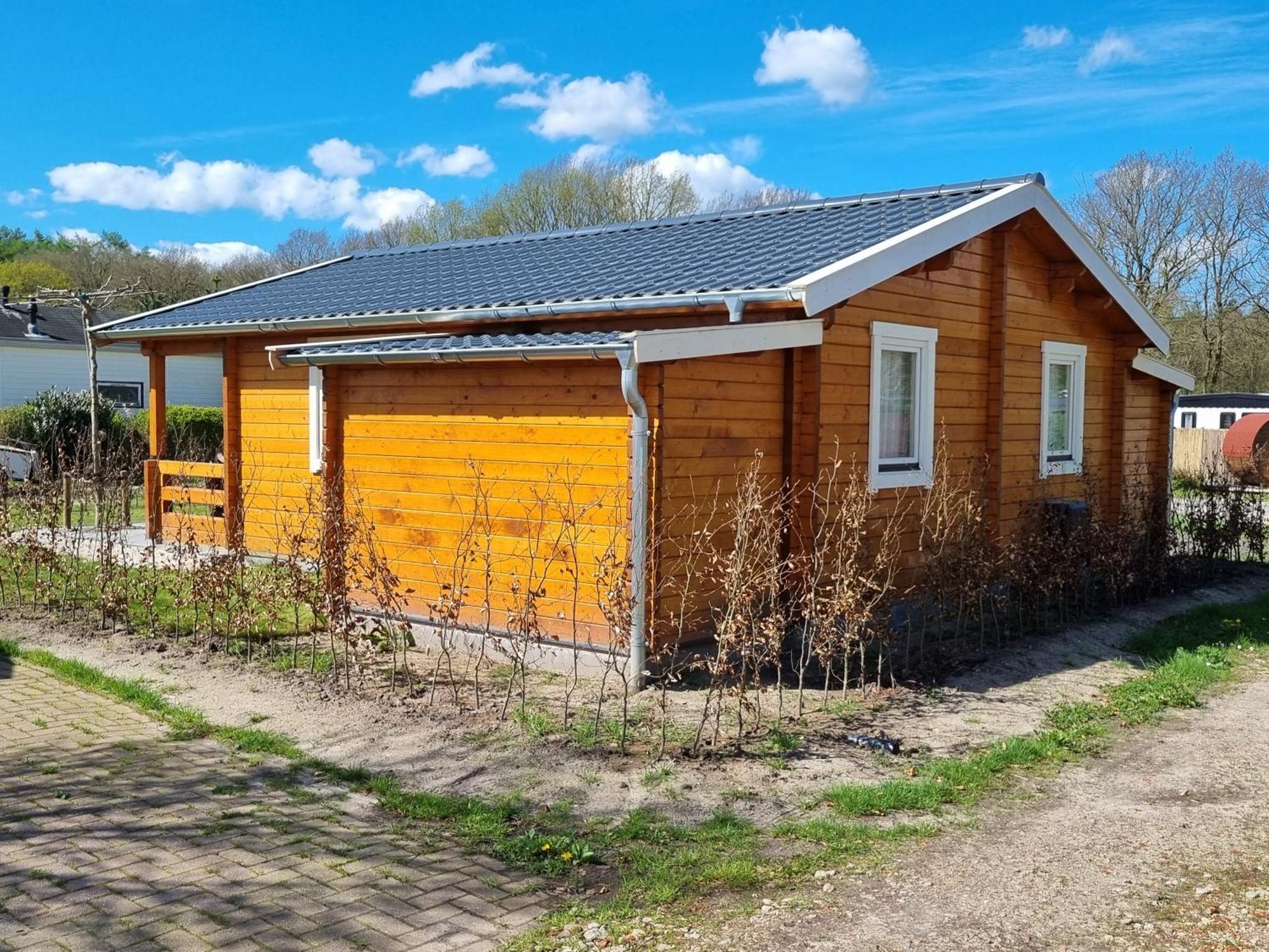 Nieuw - Luxe Blokhut Chalet In Bosrijke Omgeving Anloo Екстериор снимка